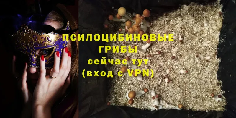 Псилоцибиновые грибы Magic Shrooms  Анива 